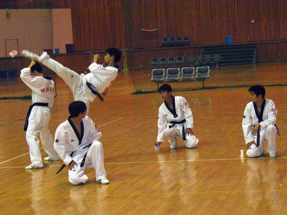 059_tkd_demo